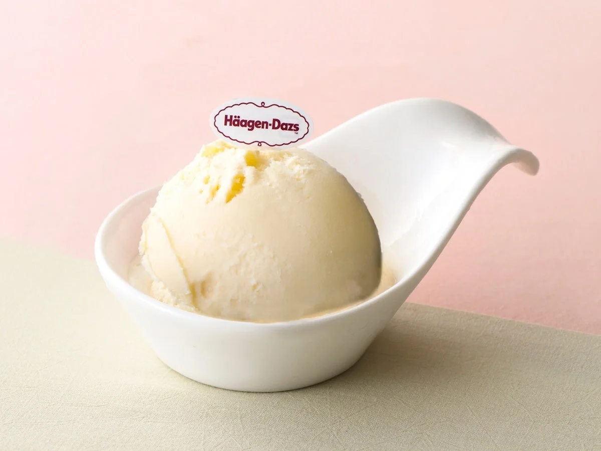ハーゲンダッツ バニラアイスクリーム