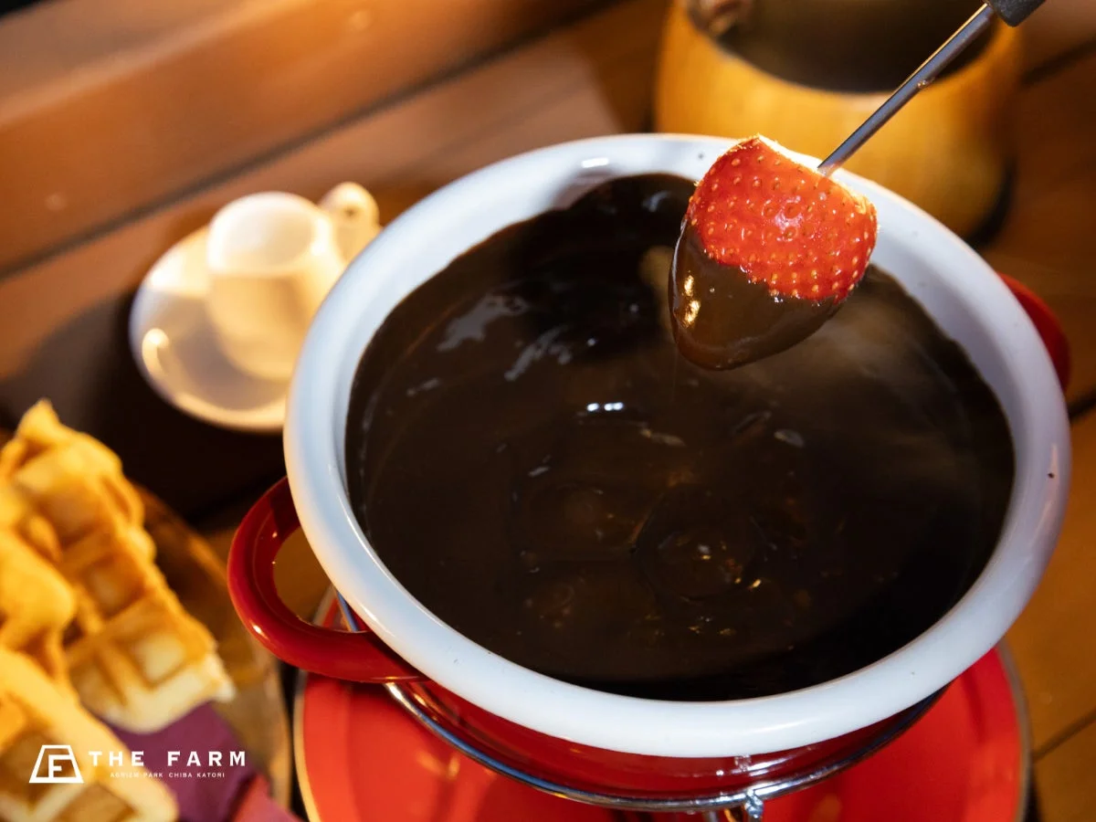 いちごのチョコフォンデュ