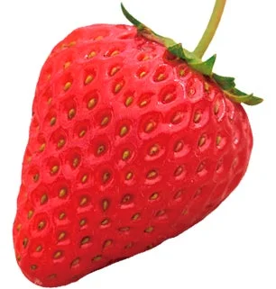 白い背景に、鮮やかな赤色で熟したいちごが一つ写っています。上部には緑色のヘタと短い茎が見えます。