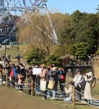 バードウォッチング