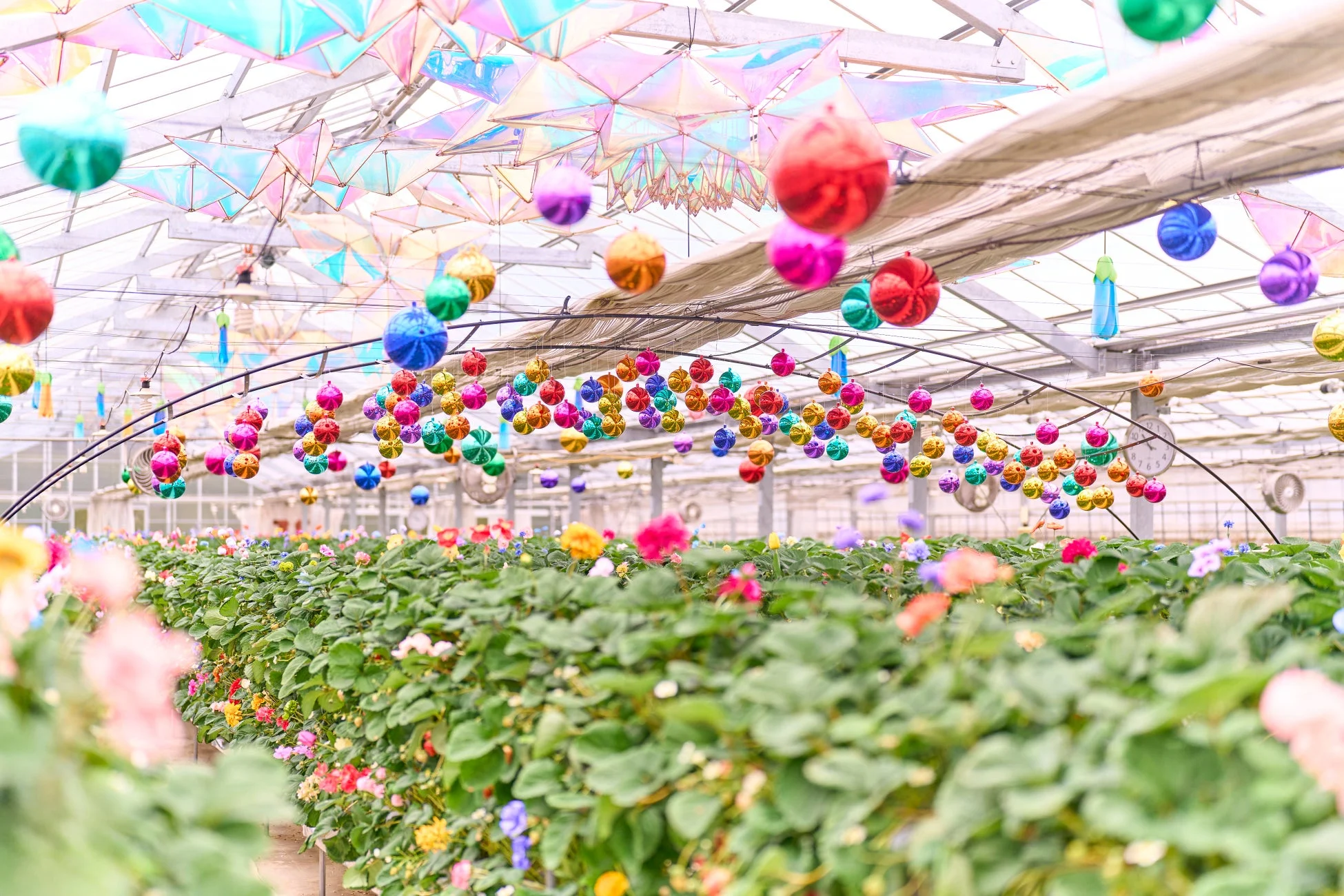 カラフルなオーナメントと花々で飾られた温室の様子。天井からは多数の光沢のあるボールが吊るされ、下には様々な色の花が咲く植物が並んでおり、幻想的で華やかな雰囲気です。
