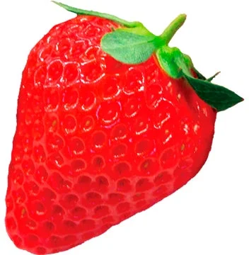 白背景に鮮やかな赤色の熟したいちごが一つ写っています。表面には小さな種子が見え、上部には緑色のヘタが付いています。