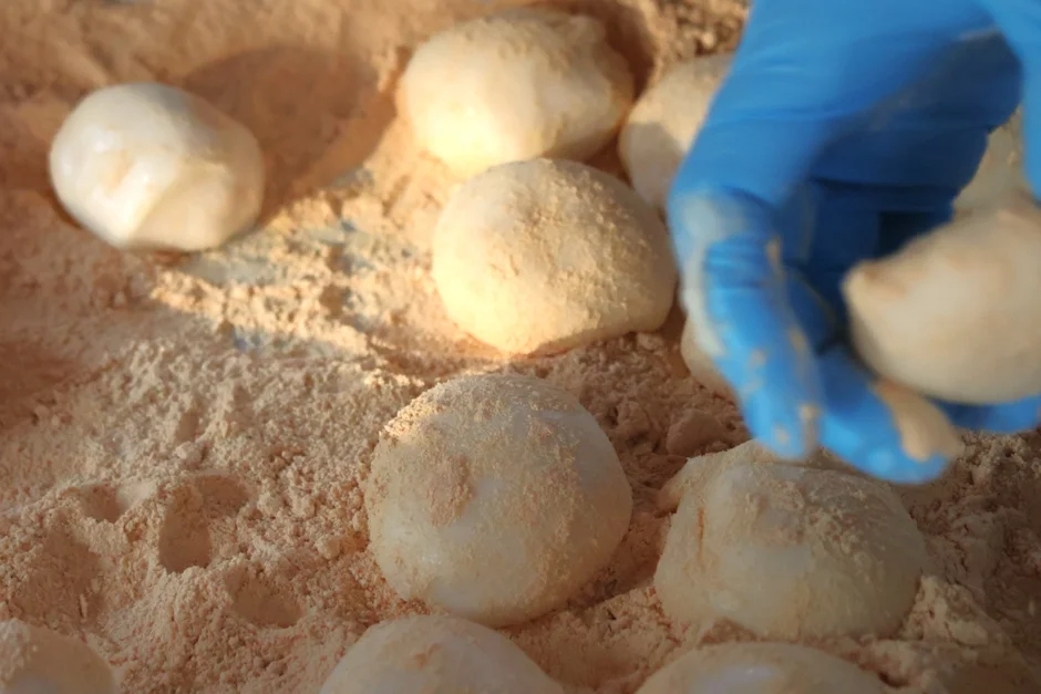 きな粉餅を扱う手