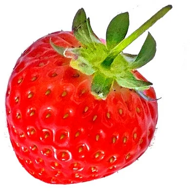 白い背景に置かれた、鮮やかな赤色のいちごのクローズアップ画像です。緑色のヘタもはっきりと写っています。