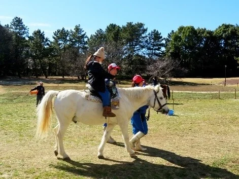 ポニー乗馬体験
