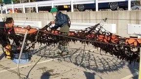 海藻の網を扱う男性