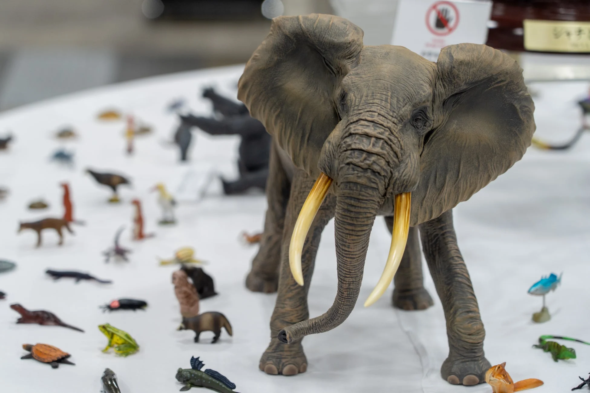 展示フィギュア