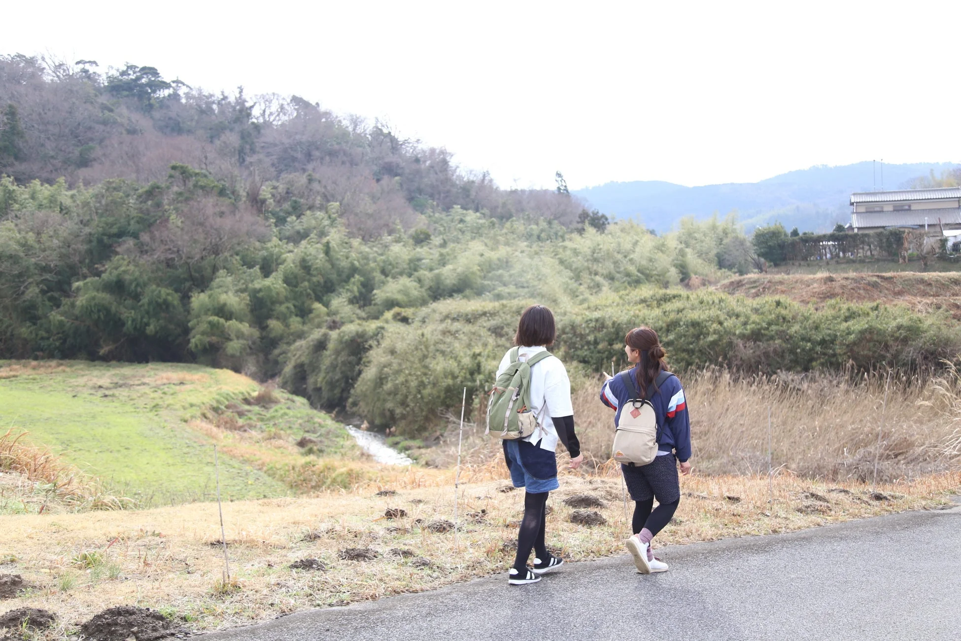山や竹林が広がる田舎道を散策する女性たち