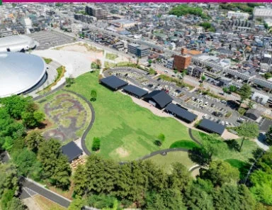 千葉公園の空撮